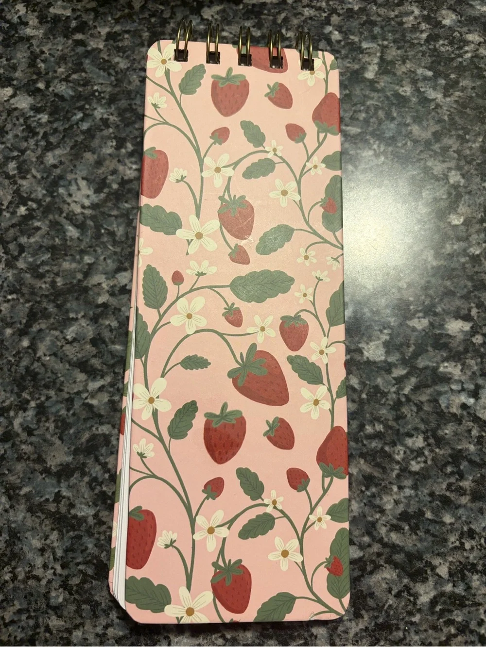 Fringe Strawberry Spiral Notepad with Gold Pen